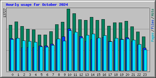Hourly usage for October 2024